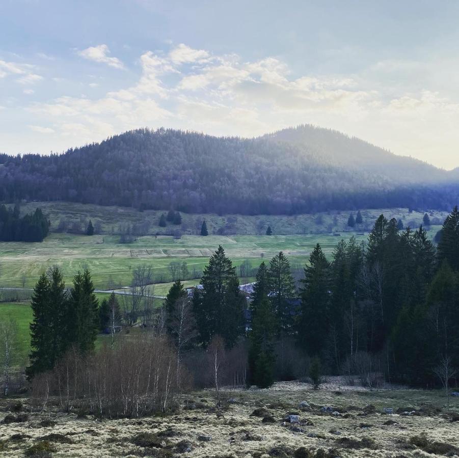 Hotel Hirschen Menzenschwand-Hinterdorf المظهر الخارجي الصورة