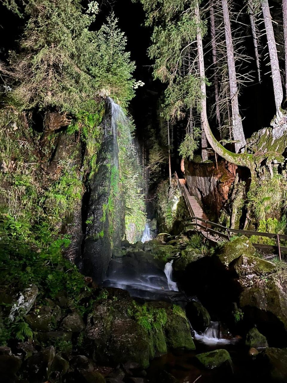Hotel Hirschen Menzenschwand-Hinterdorf المظهر الخارجي الصورة