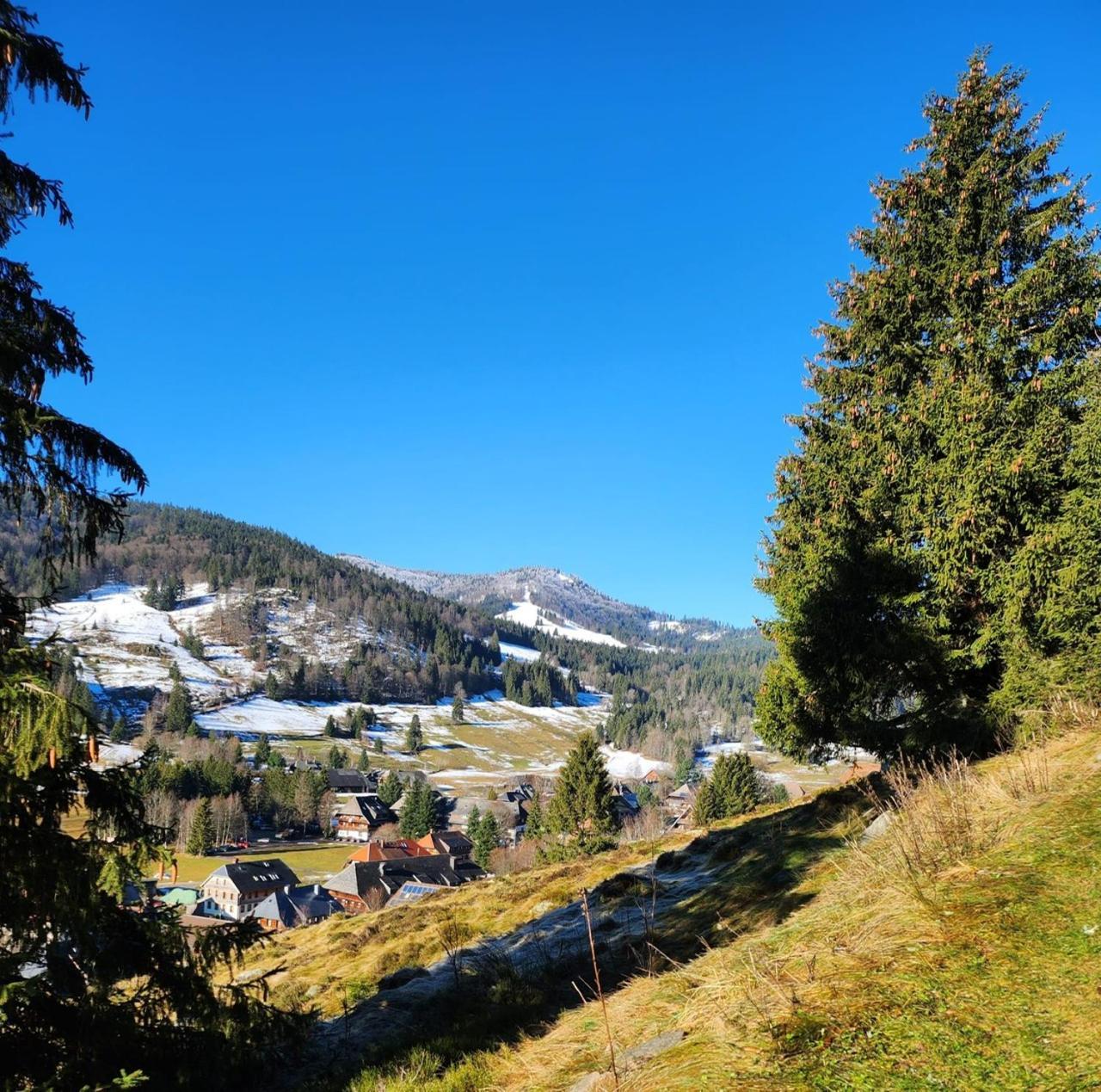 Hotel Hirschen Menzenschwand-Hinterdorf المظهر الخارجي الصورة