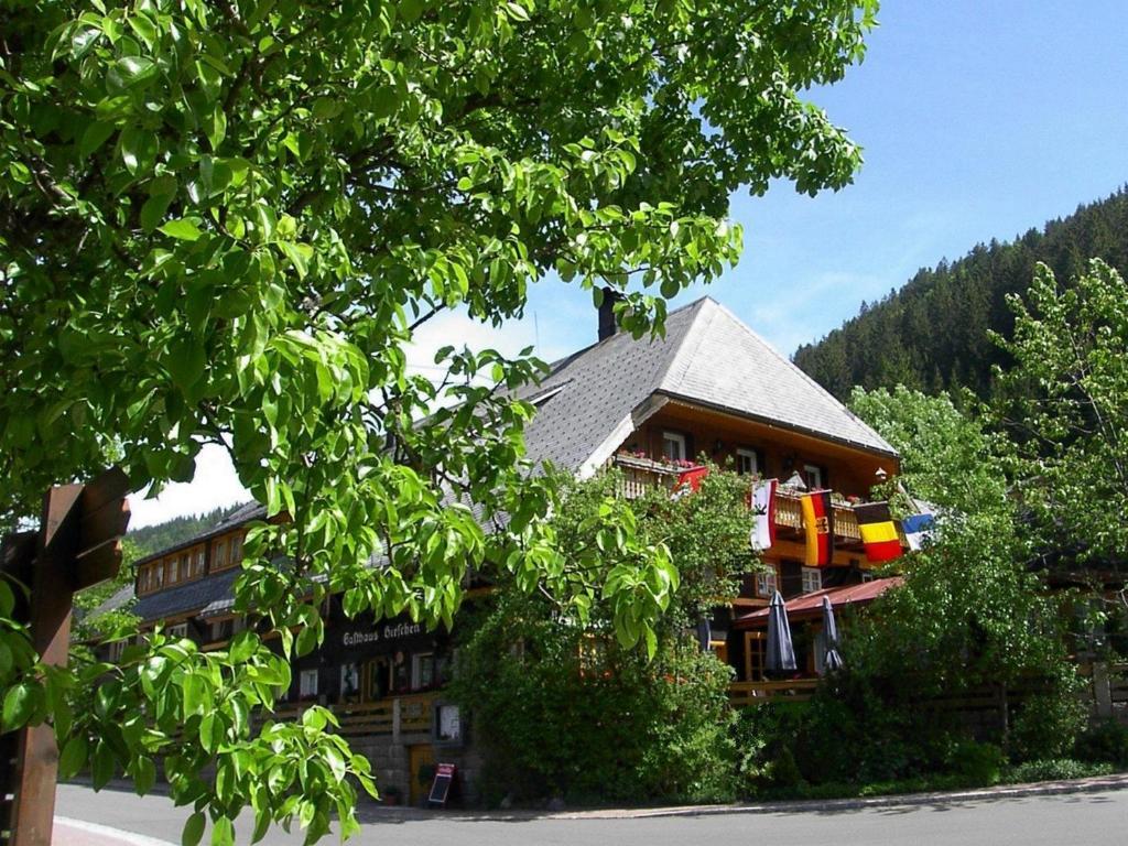 Hotel Hirschen Menzenschwand-Hinterdorf المظهر الخارجي الصورة