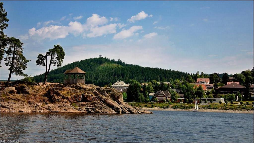 Hotel Hirschen Menzenschwand-Hinterdorf المظهر الخارجي الصورة