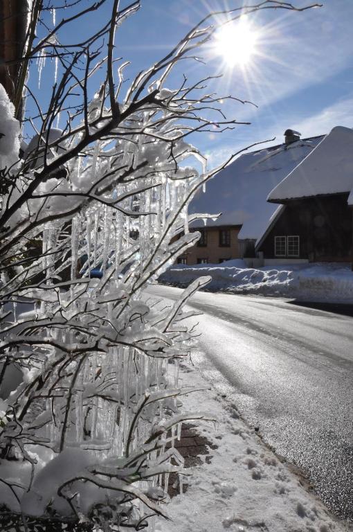 Hotel Hirschen Menzenschwand-Hinterdorf المظهر الخارجي الصورة